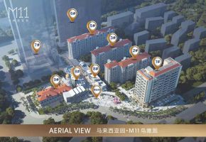 马来西亚园M11
