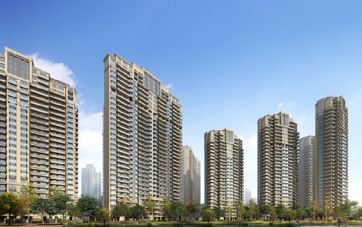 光明城市
