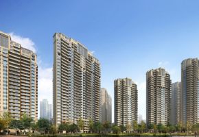 光明城市
