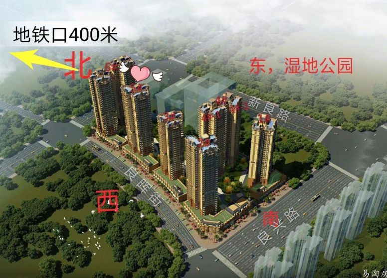 效果图