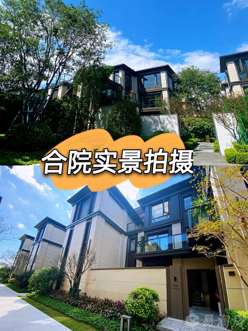 实景图