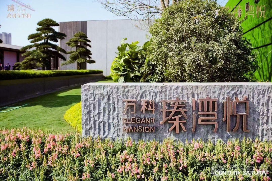 实景图
