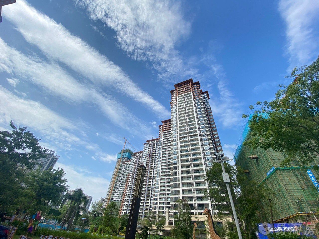 实景图