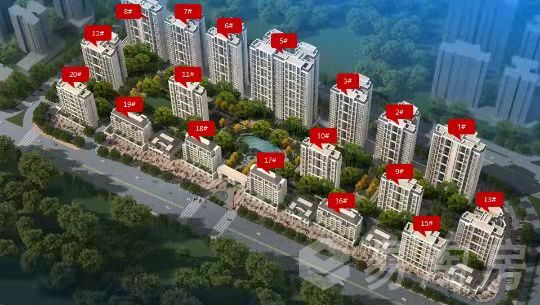 效果图