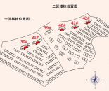 效果图