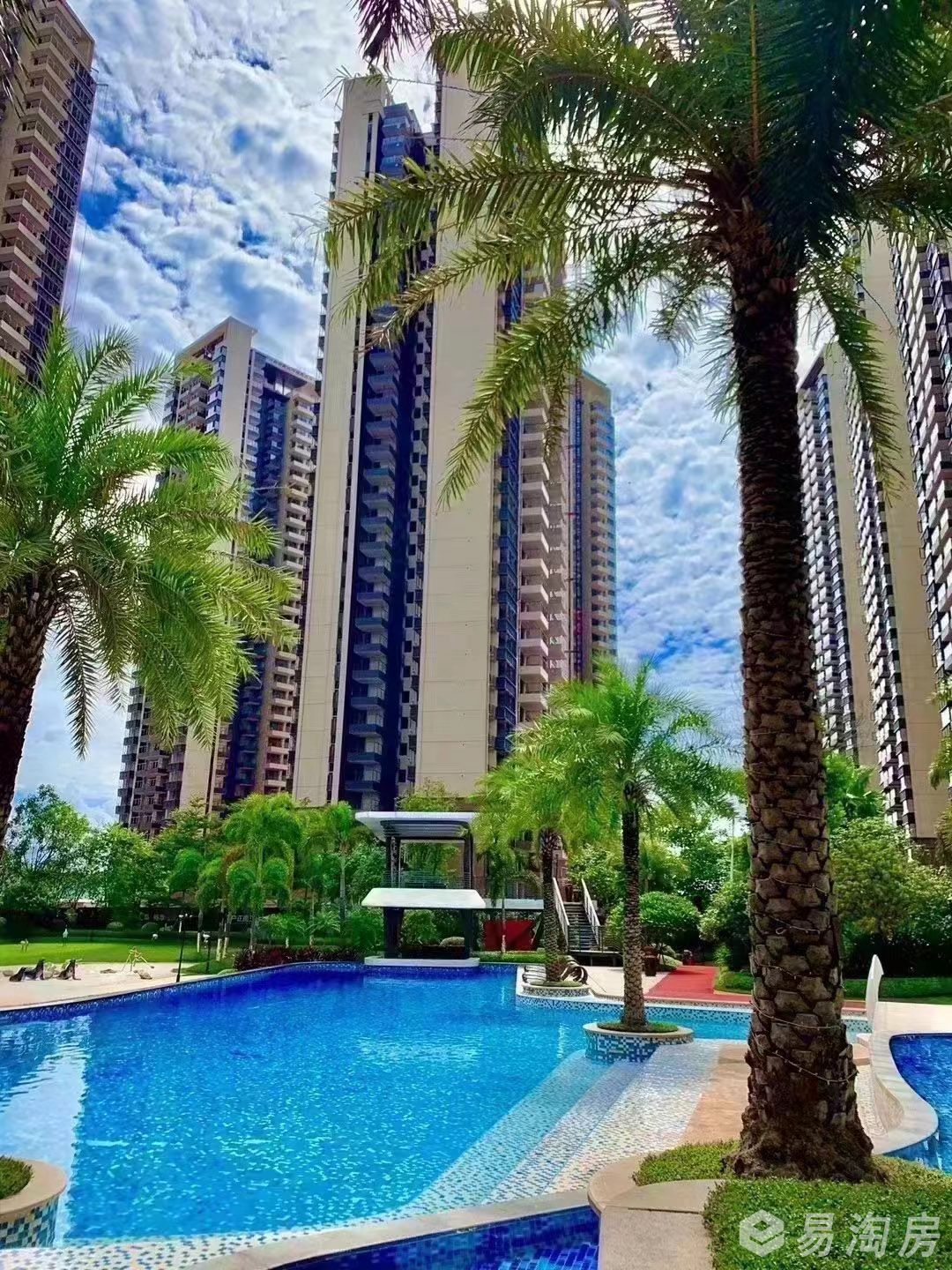 实景图