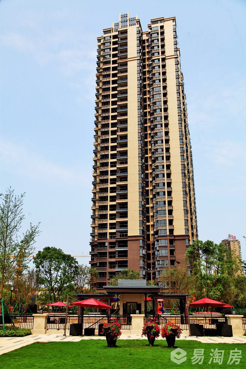 实景图