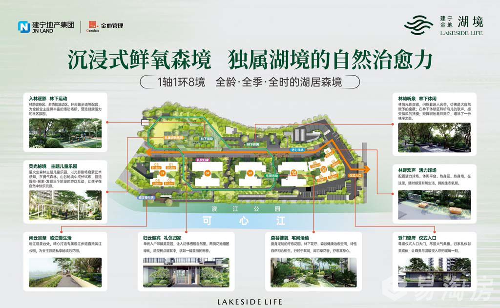 效果图